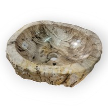 Wash Basin Fossilized Wood Natural Attachment Washbowl Bathroom - $688.96