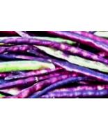 50 Pc Seeds Mississippi Purple Crowder Peas Vegetable, Pea Seeds for Planting RK - $10.50