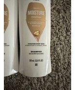 2 Count Pantene Pro V 12 Oz Daily Moisture Renewal Hydration Every Wash ... - $13.02 CAD