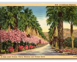 Palm Lined California Highway CA LInen Postcard G18 - £3.11 GBP