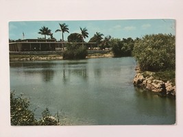  Vintage Postcard Unposted ✉️ Royal Palm Station Everglades National Park Fla - £1.91 GBP