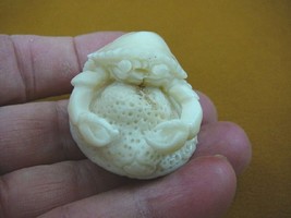 tb-crab-6) little white Crab TAGUA NUT palm figurine Bali detailed carvi... - $932.85 MXN