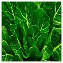 Morris Heading Collard Non GMO Heirloom Fresh Garden Bulk Seeds - $171.34 MXN