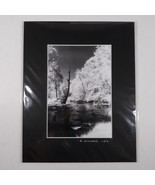 Black Mat Photo Landscape Park Infrared Photography Limited Ed 1/2 Signe... - €16,64 EUR
