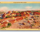 Petrified Forest Hobrook Arizona AZ UNP Unused Linen Postcard E15 - £2.44 GBP