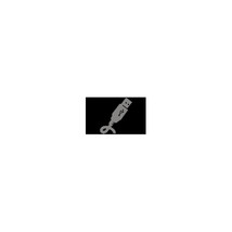 Addon USBEXTAC2M ADDON 2M USB 2.0 (A) MALE TO USB 2.0 (C) MALE BLACK CABL - $24.71