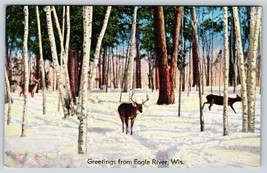 Postcard Greetings from Eagle River Wisconsin WI Three Deer&#39;s In The Snow Linen - £3.99 GBP