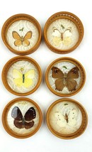 Mid century butterfly coaster set vintage boho barware gift kitchen decor - £29.70 GBP