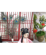 1:6 Chinese Lantern,Peacock Feathers Only for 1/6 Scale dollhouse / Art ... - $3.51+