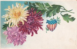 American Shield Flowers 1910 West Plains Missouri Postcard E25 - £3.71 GBP