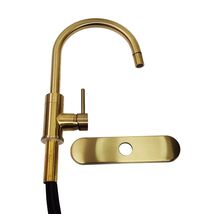 Miseno MNO003LCG Mia 1.8 GPM Pull Down Kitchen Faucet - Champagne Gold READ - $56.90
