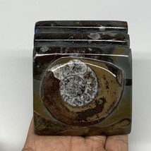 536g, 2.8&quot; x 2.8&quot; x 2&quot; Fossils Orthoceras Ammonite Business Card Holder,B7885 - £11.19 GBP