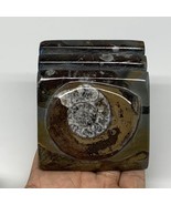 536g, 2.8&quot; x 2.8&quot; x 2&quot; Fossils Orthoceras Ammonite Business Card Holder,... - £11.01 GBP