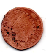 1894  Indian Head Cent Circulated with Rim Damage - $2.99