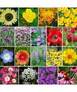 BS Wildflower Mix The Bees Knees Heirloom 18 Species Pollinators Non Gmo... - €9,45 EUR