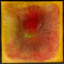 Original Art “Hibiscus Nova” Resin Artwork Painting by Tristina Dietz Elmes 6x6” - £59.08 GBP