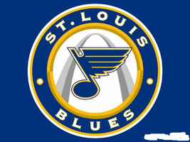 NHL Hockey St. Louis Blues Embroidered Mens Polo Shirt XS-6XL, LT-4XLT New - £23.34 GBP+