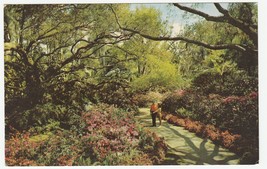 Vintage Postcard Sunken Gardens Florida Couple on Walkway to Gift Shop Unused - £5.41 GBP