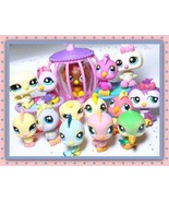 Authentic Littlest Pet Shop LPS Lot 14 Birds Owl Cockatoo Parakeet Acces... - $40.59