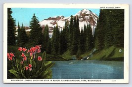 Postcard Mountain Flowers Shooting Star Rainier National Park Washington WA - £2.89 GBP