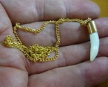 (G170-43) 1-1/8&quot; Alligator Tooth Teeth Gold plated brass capped pendant ... - $19.62