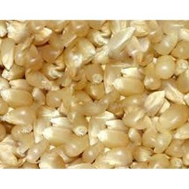 USA SELLER Organic Pearly White Robust 98114W White Popcorn Seeds Fast Shipping - £8.90 GBP