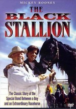 The Black Stallion Dvd - £7.98 GBP