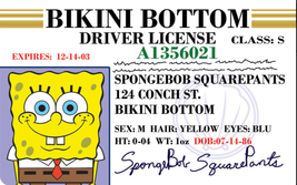 SpongeBob,Mr.Krabs,Patrick Laminated ID Card/Drivers License 3 Pack. 3.4... - $15.00