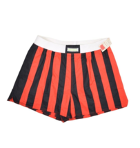 Vintage Mistral Shorts Mens XL Striped Board Swim Trunks Mesh Lined Soccer - £34.28 GBP