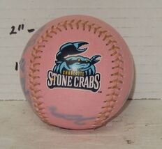 Signed Autographed Charlotte Stone Crabs Baseball Unknown Signatures FSL - $24.70