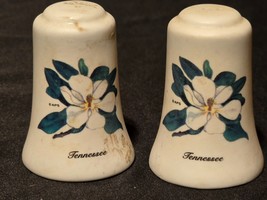 Vintage Tennessee Magnolias Salt &amp; Pepper Shaker Set - Farmhouse Country... - $196.46 MXN