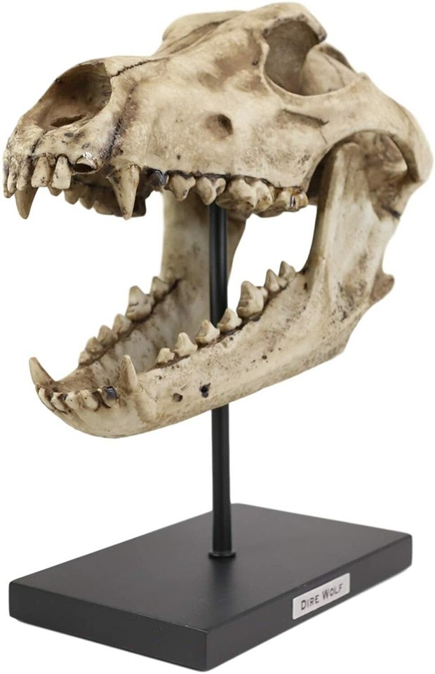 Ebros Direwolf Fossil Skull Statue On Pole Mount and Brass Name Plate 12.5" Long Item image 3