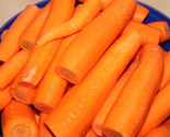 Sale 1500 Seeds Danvers Carrot Dark Orange Daucus Carota Vegetable USA - $9.90