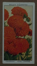 VINTAGE WILLS CIGARETTE CARDS GARDEN FLOWERS CALENDULA No # 6 NUMBER X1 b3 - $1.71