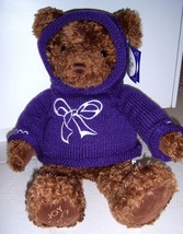 Gund Millenium 2000 &quot;Joy&quot; L/E Stuffed Plush Toy Bear w Purple Hoodie- RARE-NWT - £55.45 GBP