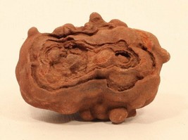 Ancient Moroccan Stromatolite fossil up to 3 Billion years old - £106.81 GBP