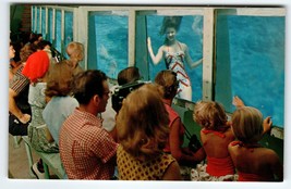 Weeki Wachee Mermaid Florida Postcard People Watching Performing Lady Underwater - £12.85 GBP