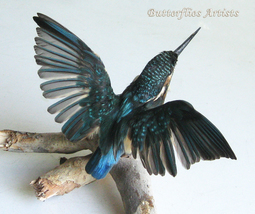 Real Bird Kingfisher Alcedo Atthis Mount Taxidermy Stuffed Scientific Zo... - $358.99