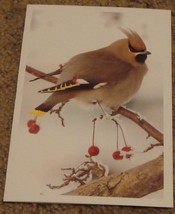 BRAND NEW Nice Merry Christmas Greeting Card, GREAT CONDITION - £2.31 GBP
