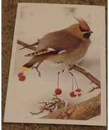 BRAND NEW Nice Merry Christmas Greeting Card, GREAT CONDITION - $4.06 CAD