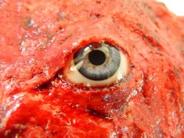 Bloody Skinned Flesh With Realistic Eye Prop - £16.03 GBP