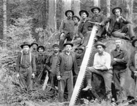 Vintage Photos Of Lumberjacks Who Felled Big Trees Using Only Hand Tools - £10.99 GBP