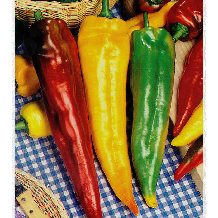 Volcano Pepper 15 Over 1000 Kinds Of Heirloom Seeds - Seeds & Bulbs