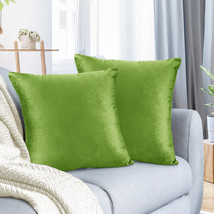 Garden Green 20&quot;x20&quot; Throw Pillow Covers Set 2 Sofa Velvet Cushion Cases - £22.22 GBP