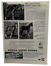 Purina Horse Chow Vintage Print Ad 1970 Ralston Purina Horse Feed - $12.95