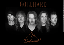 GOTTHARD Defrosted FLAG CLOTH POSTER BANNER HARD ROCK - $20.00