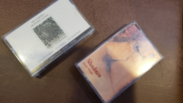LOT of 2 Vtg Tape Cassette Shadows Danny Wright &amp; Morning Walk Metamora Larsen - £12.14 GBP