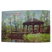 Postcard Okefenokee Swamp Observation Platform Georgia Land Of Trembling Earth - £10.71 GBP