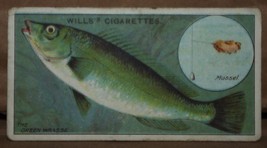 Vintage Wills Cigarette Cards Fish And Bait The Wrasse No # 13 Number x1 b10 - $1.72