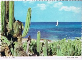 Postcard Seaview At Aruba Cactus Netherlands Antilles - $3.95